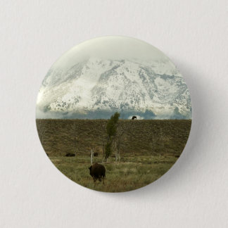 Bison at Grand Teton National Park Photography 6 Cm Round Badge
