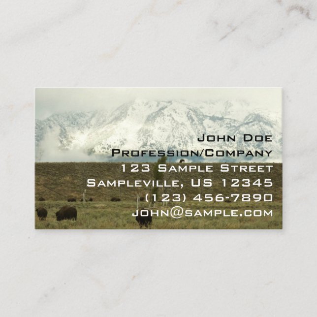Bison at Grand Teton National Park Photography Business Card (Front)