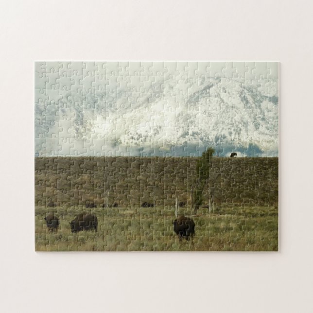 Bison at Grand Teton National Park Photography Jigsaw Puzzle (Horizontal)