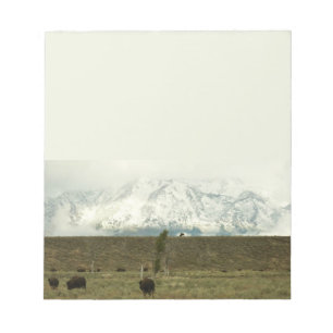 Bison at Grand Teton National Park Photography Notepad