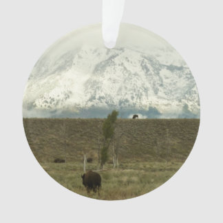 Bison at Grand Teton National Park Photography Ornament