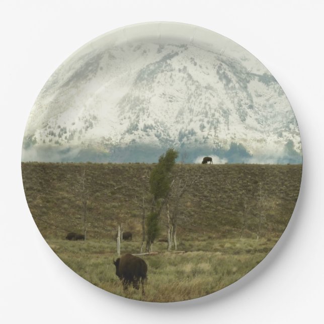 Bison at Grand Teton National Park Photography Paper Plate (Front)