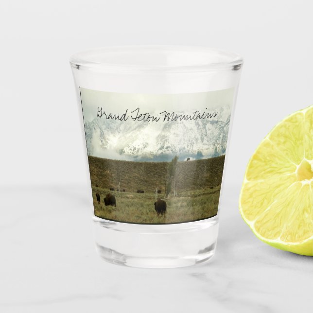 Bison at Grand Teton National Park Photography Shot Glass (Front)