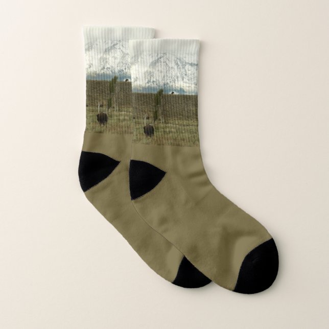 Bison at Grand Teton National Park Photography Socks (Pair)