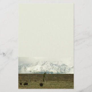Bison at Grand Teton National Park Photography Stationery