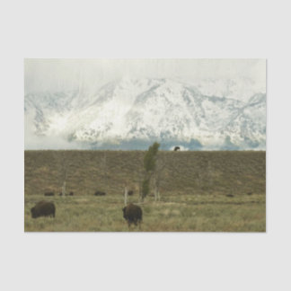 Bison at Grand Teton National Park Photography Tissue Paper