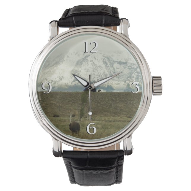 Bison at Grand Teton National Park Photography Watch (Front)