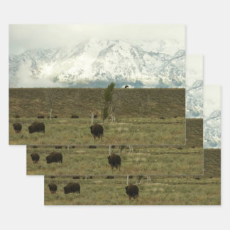 Bison at Grand Teton National Park Photography Wrapping Paper Sheet