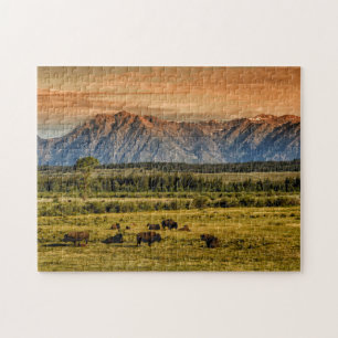 Bison at Sunrise Jigsaw Puzzle