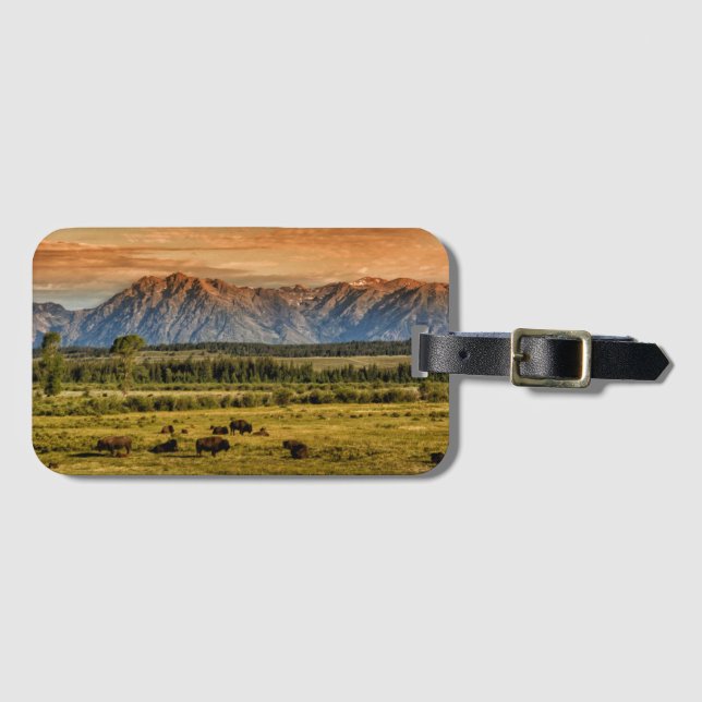 Bison at Sunrise Luggage Tag (Front Horizontal)