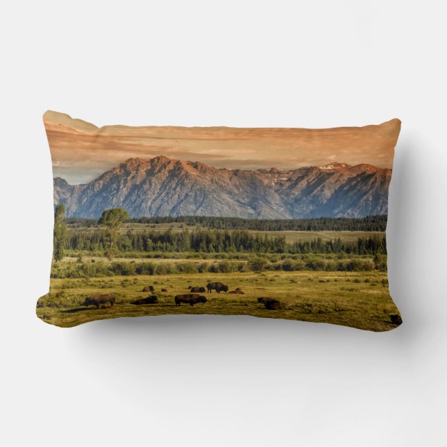 Bison at Sunrise Lumbar Cushion (Front)