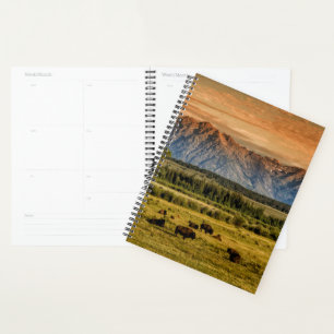 Bison at Sunrise Planner
