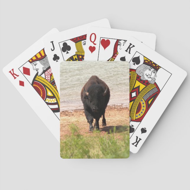 Bison at the Water Playing Cards (Back)