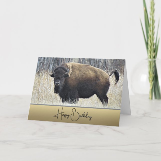 Bison - Birthday Card (Front)