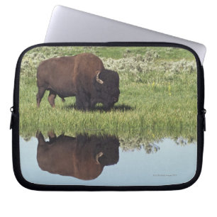 Bison (Bison Bison) On Grassy Meadow Laptop Sleeve