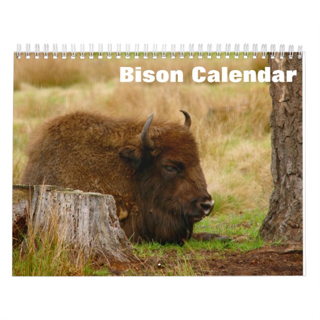 Bison Buffalo 2027 Calendar (Cover)