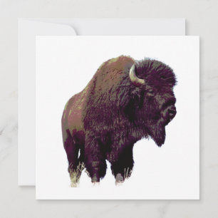Bison Buffalo Card