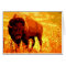 Bison / Buffalo Cards