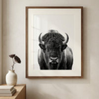 Bison Buffalo Modern Portrait black white