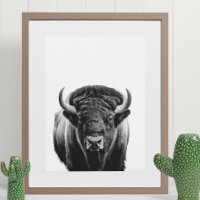 Bison Buffalo Modern Portrait black white  