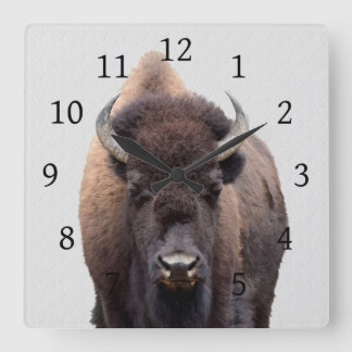Bison Buffalo Photo 135 Square Wall Clock