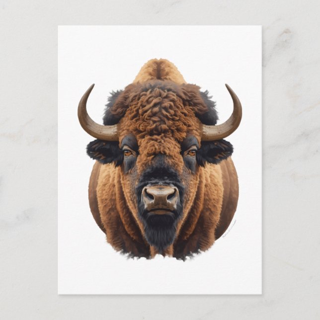 Bison / Buffalo Postcard (Front)