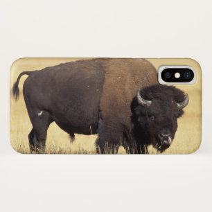 Bison Bull in Yellowstone National Case-Mate iPhone Case