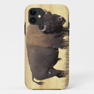 Bison Bull in Yellowstone National iPhone 11 Case