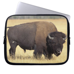 Bison Bull in Yellowstone National Laptop Sleeve