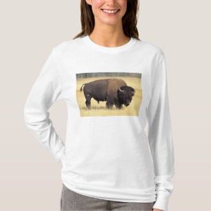 Bison Bull in Yellowstone National T-Shirt