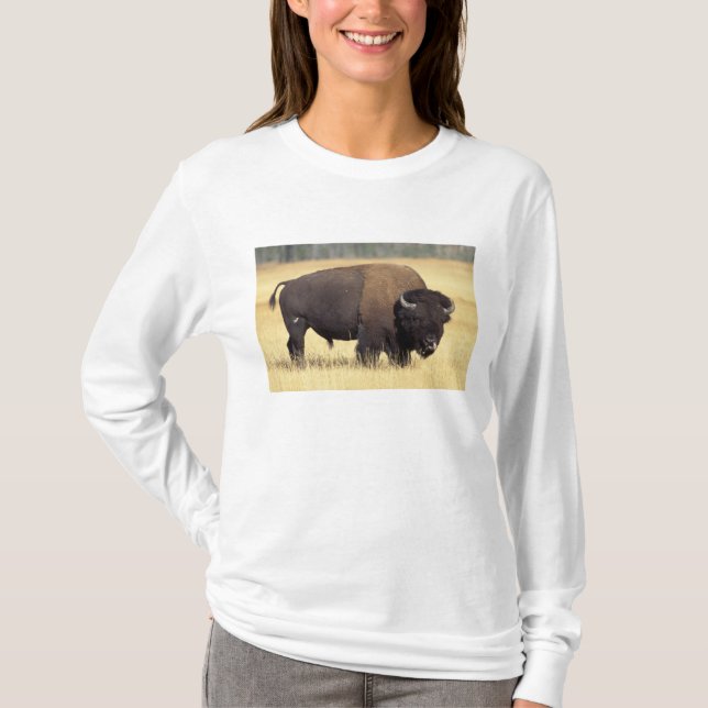 Bison Bull in Yellowstone National T-Shirt (Front)