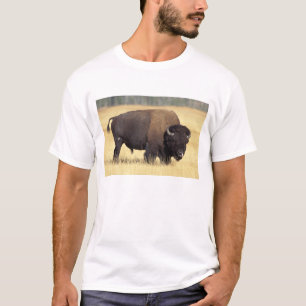 Bison Bull in Yellowstone National T-Shirt