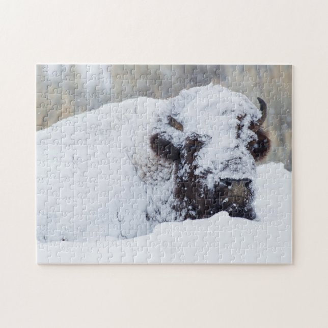Bison Bull, winter coat Jigsaw Puzzle (Horizontal)
