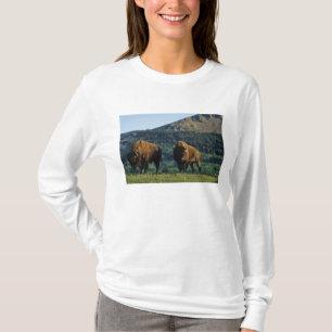 Bison bulls at Waterton Lakes National Park T-Shirt