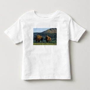 Bison bulls at Waterton Lakes National Park Toddler T-Shirt