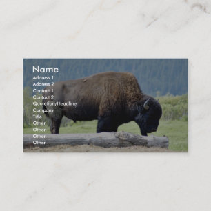 Bison Business Card