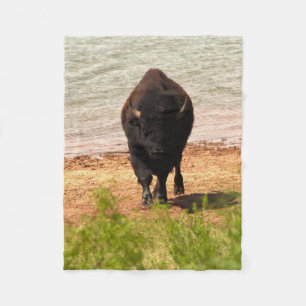 Bison By The Water Fleece Blanket