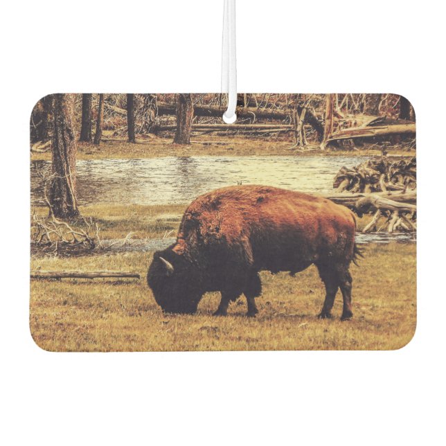 Bison Car Air Freshener (Front)