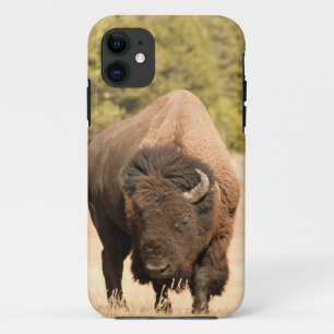 Bison iPhone 11 Case