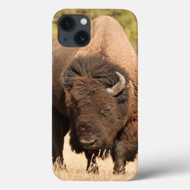Bison Case-Mate iPhone Case (Back)