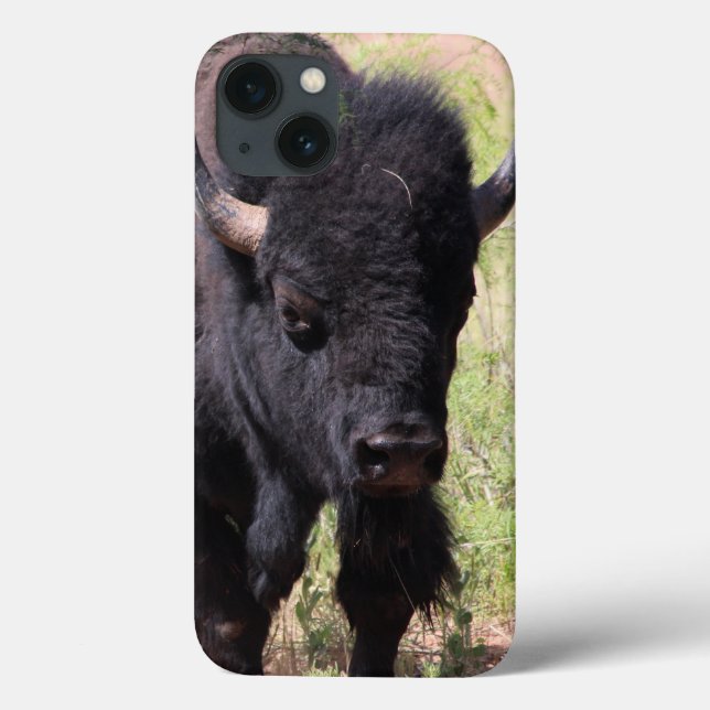 Bison Close Up iPhone Cases (Back)