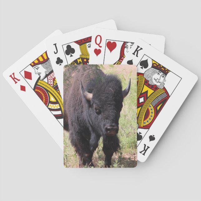 Bison Close Up Playing Cards (Back)