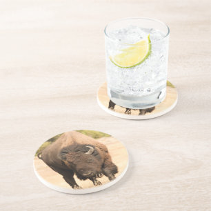 Bison Coaster