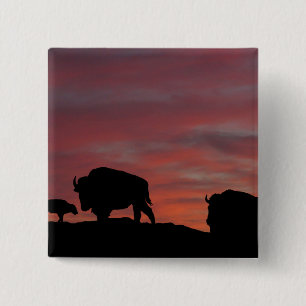 Bison family 15 cm square badge