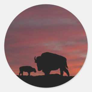 Bison family classic round sticker