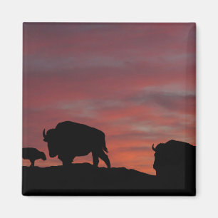 Bison family magnet