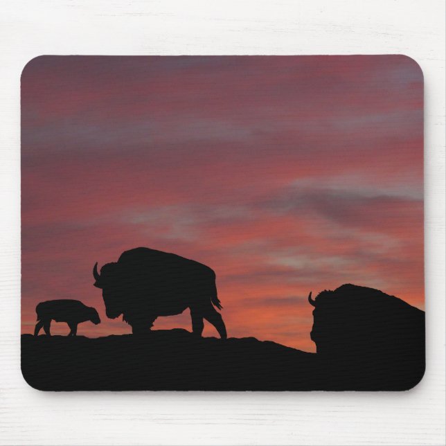 Bison family mouse pad (Front)