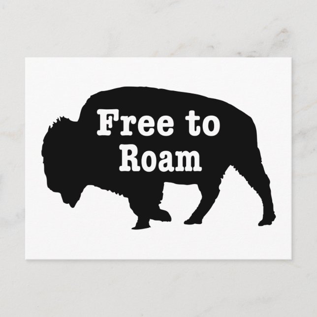 Bison Free To Roam Postcard (Front)