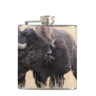 bison friendship hip flask