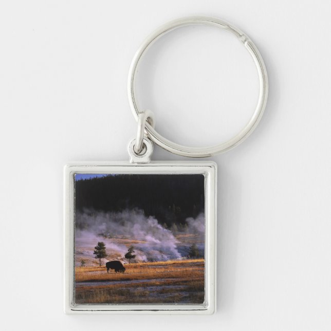 Bison grazing in the Upper Geyser Basin Key Ring (Front)